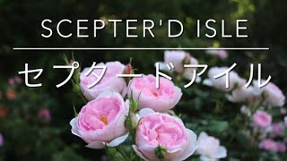 セプタードアイル Scepterd Isle [upl. by Matlick]