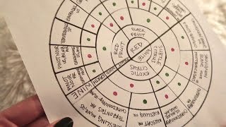 ASMR Wine Guide ❦ Soft Spoken with Markers [upl. by Deborath469]