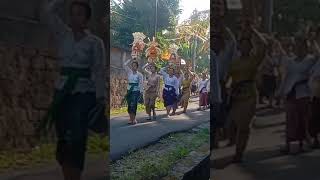 Ngiring ke pura sakti Desa Tulikup [upl. by Potash]