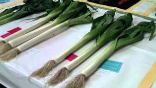 Westmorland Horticultural Society FruitVeg amp Flower Show [upl. by Korns]