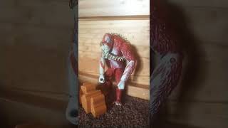 Skar king shouldnt have littered😞godzillakongcomedyactionfigures [upl. by Aivan639]