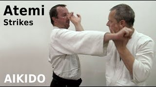 Aikido ATEMI  striking techniques by Stefan Stenudd in 2008 [upl. by Yrahca452]