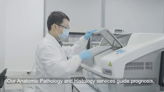 Labcorp Central Laboratory in Shanghai China Tour [upl. by Yecats]