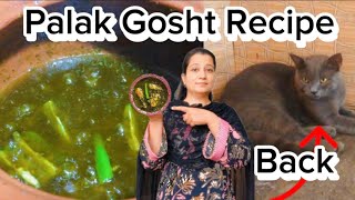 Easy Desi Mutton Palak Recipe  Finally cat is Back 🐈 Sajida Honest official [upl. by Dorisa]