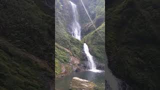 Waterfalls in Nyungwe National Park Rwanda [upl. by Vivle]