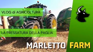 🇮🇹 MARLETTO FARM  La pressatura della paglia  Vlog di Agricoltura [upl. by Nimar881]