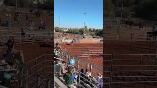 Horse Race in Queen Creek [upl. by Iznek]