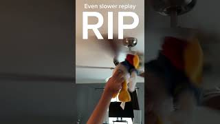 RIP Donald Duck [upl. by Juditha486]