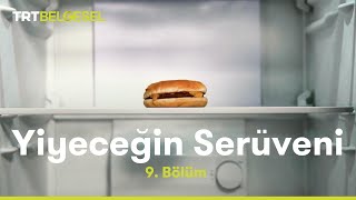 Yiyeceğin Serüveni  Dondurulmuş Gıdalar  TRT Belgesel [upl. by Ahsilat458]