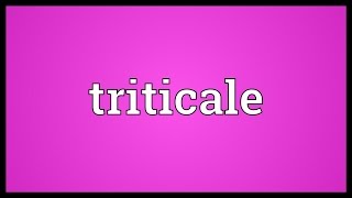 Triticale Meaning [upl. by Picco330]