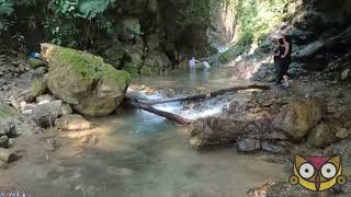 Lluvias Eternas y Parque Nacional Yanachaga Chemillén [upl. by Phylys]