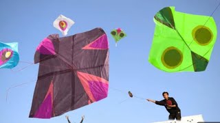 Sari Patang kite🪁Pakad Lani Hain koi janay ne pay😂 Kite Funny Video [upl. by Murray117]