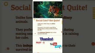 THE TIGER Social cats  TIGER TRANDING VIRAL SHORTS life [upl. by Janela]