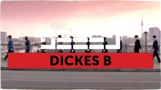 Seeed  Dickes B official Video [upl. by Maddy]