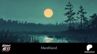 Marshland  ambience sample [upl. by Nittirb338]