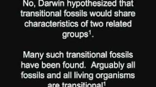 Janet Folger 36 CreationVEvolution  ExtantDodo Debunk [upl. by Nylodnarb]