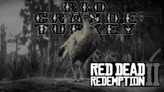 Red Dead Redemption 2  Rio Grande Wild Turkey Spawn Location [upl. by Felipe]