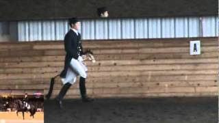 Totilas Freestyle Tribute  the whole stick horse performance [upl. by Fish205]