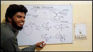 Methyl Salicylate synthesis mechanism [upl. by Hanschen]