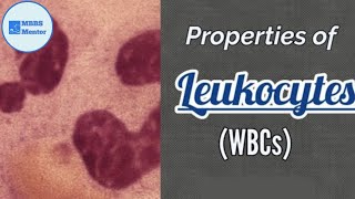 Properties of Leukocytes WBCs  Blood Physiology [upl. by Kenna]