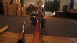 Lies Beijerinck plays on my new didgeridoo [upl. by Robyn466]