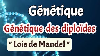 Génétique Chapitre 3 génétique des diploïdes partie1 lois de Mandel [upl. by Llemart237]