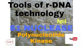 S1 NUCLEASESAM ONLINE CLASS [upl. by Narah]