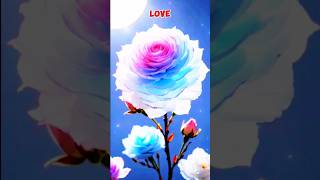 Love rose beautiful shorts shorts ytshorts shortsfeed rose [upl. by Jory537]