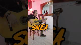 SOLEA FALSETA Music Murat Köseler flamencoguitar guitar flamencoguitarist guitarist [upl. by Kcirddahc]