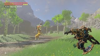 Zelda BOTW Ancient Vah Naboris Link VS Gold Lynel Feat Naydra [upl. by Port362]