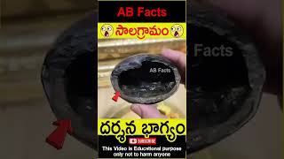 🙏సాలగ్రామం🙏 Mahavishnu roopam in shaligram telugufacts vishnupuran shorts youtubeshorts abfacts [upl. by Supple]