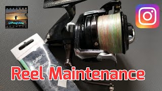 Fixed Spool Reel Maintenance  Step by Step Guide Shimano Ultegra  Fishing [upl. by Assille]