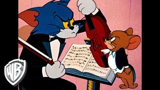 Tom y Jerry en Latino  Descubre la música  WB Kids [upl. by Fields]