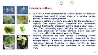 Plant Endosperm culture [upl. by Zindman523]