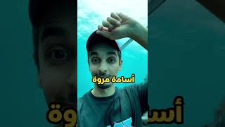 طارق من فريق مستر بيست يحكي عربي   MrBeast [upl. by Hafeenah]