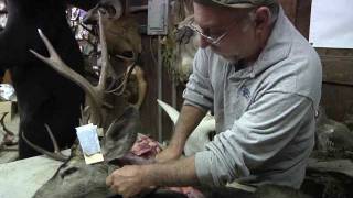 Testas Taxidermy Tips  Neck Meat [upl. by Matthei632]