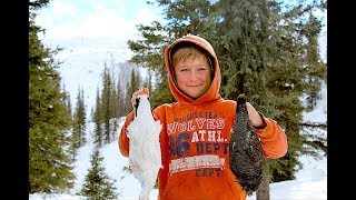 Ptarmigan vs Grouse How to Tell the Difference [upl. by Eiro]