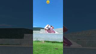 My first teddy bear comedy video subscribe [upl. by Samale]