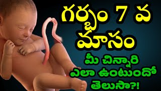 7 months baby development in pregnancy intelugu pregnant momgeethastips [upl. by Ecyle]