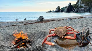 Catching Crabs and Lobsters by hand and Wild Beach Cooking [upl. by Leseil]