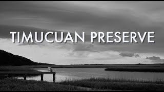 Walk in the Park Timucuan Preserve [upl. by Aihsetel]