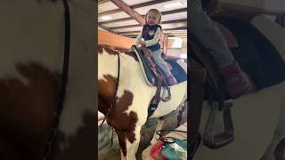 horse riding  Natural Horse Training youtube horse ytshorts youtubeshorts short [upl. by Annie785]