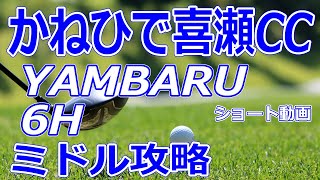 女子ゴルフツアー日本女子プロゴルフ選手権 開催【沖縄県】かねひで喜瀬カントリークラブ（YAMBARUHole6）ミドルホール 攻略 天気 予約 ショート動画 [upl. by Elahcar257]