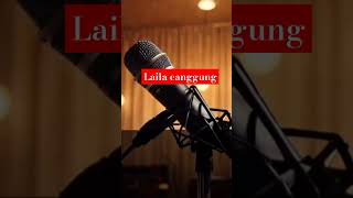 Laila canggung karaoke dangdut original shorts [upl. by Corilla]