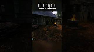 STALKER Shadow of Chernobyl I destroyed a pack of Bloodsuckers for Murk stalker [upl. by Corey854]