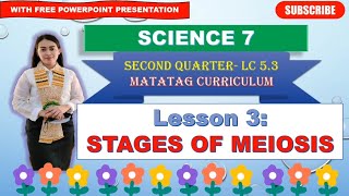 SCIENCE 7 Quarter 2 LC 53 STAGES OF MEIOSIS MATATAG CURRICULUM [upl. by Swec]