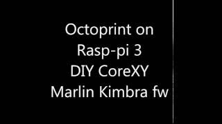 Octoprint on Raspberry pi 3  Core XY 3d printer [upl. by Alywt111]