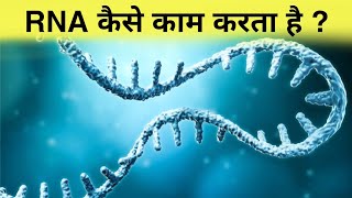 मानव कोशिका  Human Cell  Types of Cell  Biology  Part  2  Khan GS Research Center [upl. by Johathan951]