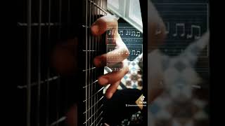 Piercing Lazer Simple Sight  Castle Crushers Necromancer Theme guitar tutorial tabs and playthroug [upl. by Eimor]