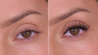 How To Make Your Eyelashes Look Longer With Mascara  Shonagh Scott [upl. by Arbas]